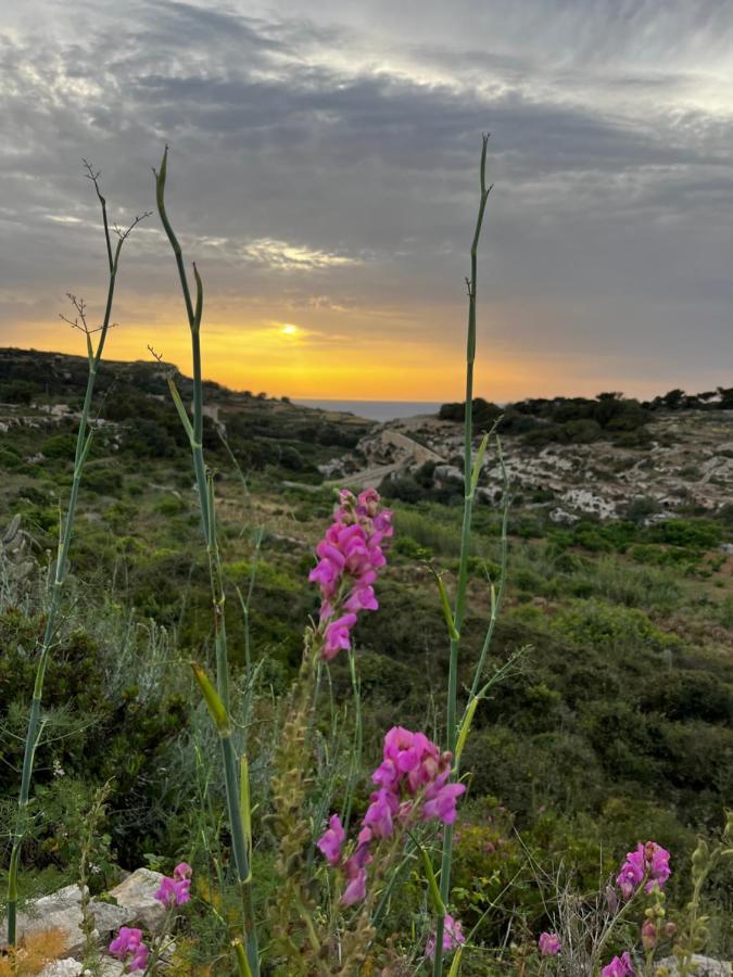 Holiday home Peaceful, Comfy 1br Nature Retreat: Serene Bliss By 360 Estates L-Imgarr